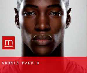 Adonis Madrid
