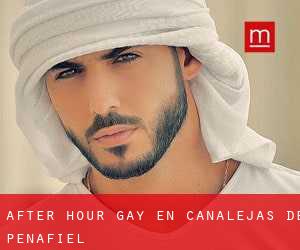 After Hour Gay en Canalejas de Peñafiel