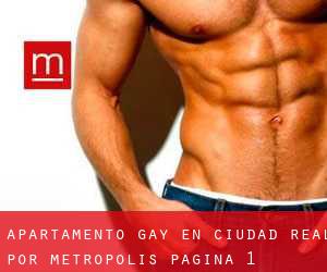 Apartamento Gay en Ciudad Real por metropolis - página 1