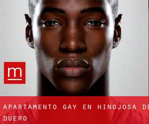 Apartamento Gay en Hinojosa de Duero
