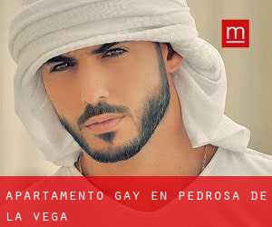Apartamento Gay en Pedrosa de la Vega