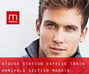 Atocha Station - Express Train Arrivals Section (Madrid)