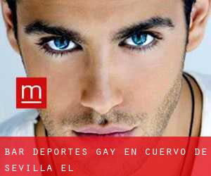 Bar Deportes Gay en Cuervo de Sevilla (El)