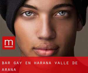 Bar Gay en Harana / Valle de Arana