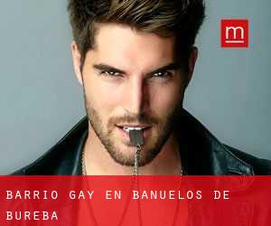 Barrio Gay en Bañuelos de Bureba