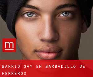 Barrio Gay en Barbadillo de Herreros