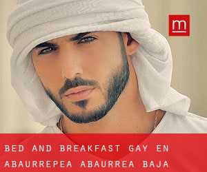 Bed and Breakfast Gay en Abaurrepea / Abaurrea Baja
