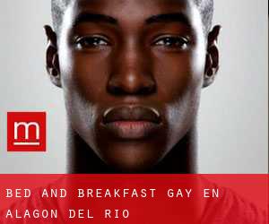 Bed and Breakfast Gay en Alagón del Río