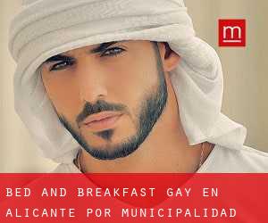 Bed and Breakfast Gay en Alicante por municipalidad - página 2
