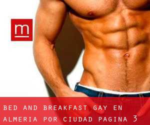 Bed and Breakfast Gay en Almería por ciudad - página 3