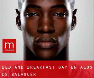 Bed and Breakfast Gay en Alòs de Balaguer