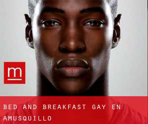 Bed and Breakfast Gay en Amusquillo