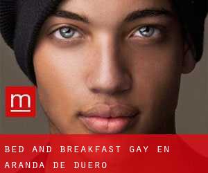 Bed and Breakfast Gay en Aranda de Duero