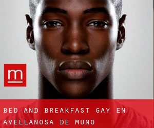 Bed and Breakfast Gay en Avellanosa de Muñó