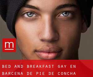 Bed and Breakfast Gay en Bárcena de Pie de Concha