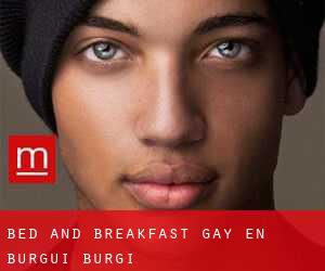 Bed and Breakfast Gay en Burgui / Burgi