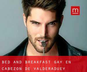 Bed and Breakfast Gay en Cabezón de Valderaduey