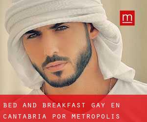 Bed and Breakfast Gay en Cantabria por metropolis - página 1 (Provincia)