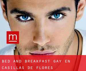Bed and Breakfast Gay en Casillas de Flores