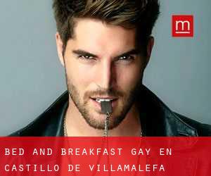 Bed and Breakfast Gay en Castillo de Villamalefa