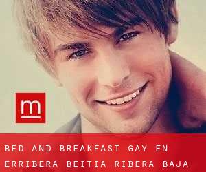 Bed and Breakfast Gay en Erribera Beitia / Ribera Baja