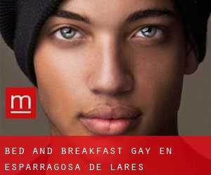 Bed and Breakfast Gay en Esparragosa de Lares