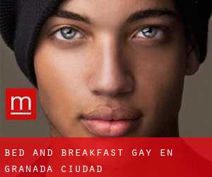 Bed and Breakfast Gay en Granada (Ciudad)