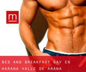 Bed and Breakfast Gay en Harana / Valle de Arana