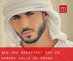 Bed and Breakfast Gay en Harana / Valle de Arana