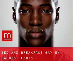 Bed and Breakfast Gay en Laudio / Llodio