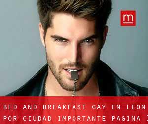Bed and Breakfast Gay en León por ciudad importante - página 1