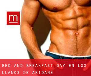 Bed and Breakfast Gay en Los Llanos de Aridane