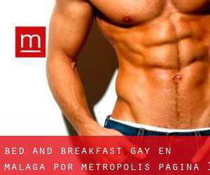 Bed and Breakfast Gay en Málaga por metropolis - página 1