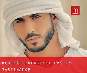 Bed and Breakfast Gay en Martinamor