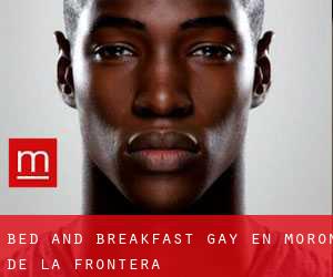 Bed and Breakfast Gay en Morón de la Frontera