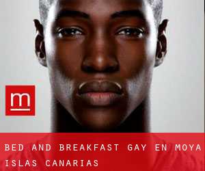 Bed and Breakfast Gay en Moya (Islas Canarias)