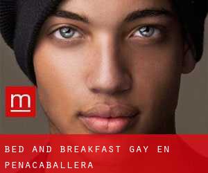 Bed and Breakfast Gay en Peñacaballera