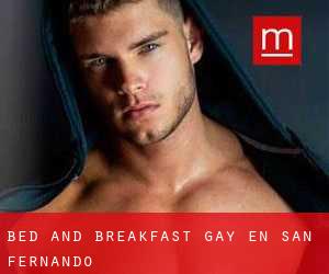 Bed and Breakfast Gay en San Fernando