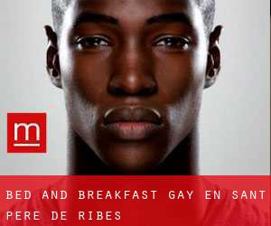 Bed and Breakfast Gay en Sant Pere de Ribes