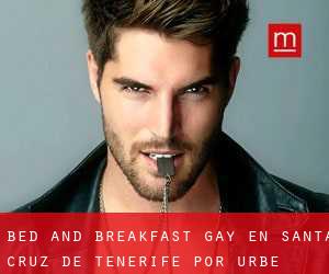Bed and Breakfast Gay en Santa Cruz de Tenerife por urbe - página 1