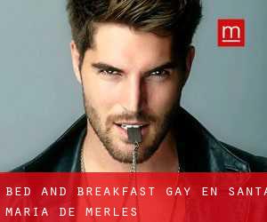 Bed and Breakfast Gay en Santa Maria de Merlès