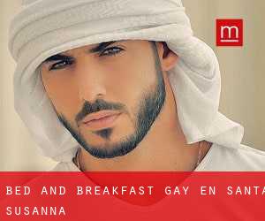Bed and Breakfast Gay en Santa Susanna