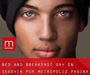 Bed and Breakfast Gay en Segovia por metropolis - página 1