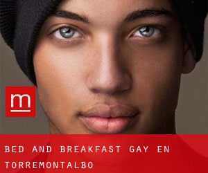 Bed and Breakfast Gay en Torremontalbo