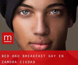 Bed and Breakfast Gay en Zamora (Ciudad)