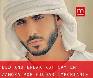 Bed and Breakfast Gay en Zamora por ciudad importante - página 4