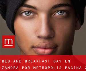 Bed and Breakfast Gay en Zamora por metropolis - página 2
