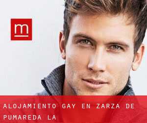 Alojamiento Gay en Zarza de Pumareda (La)