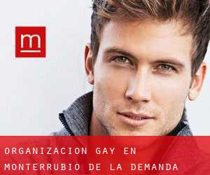 Organización Gay en Monterrubio de la Demanda