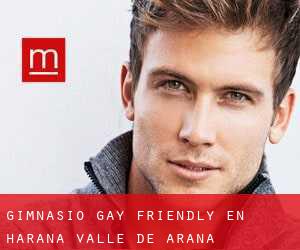 Gimnasio Gay Friendly en Harana / Valle de Arana